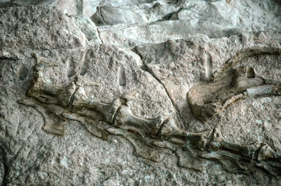 Free Image of Dinosaur National Monument 