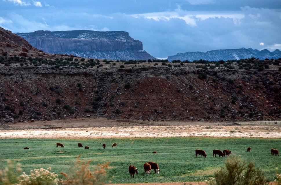 Free Image of Canyonlands National Park 