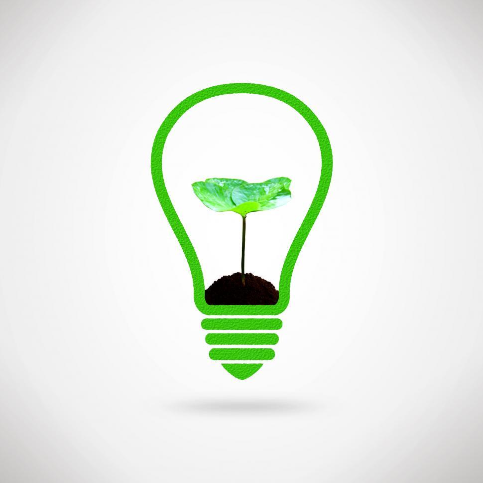 Free Image of Lightbulb and plant sprout 