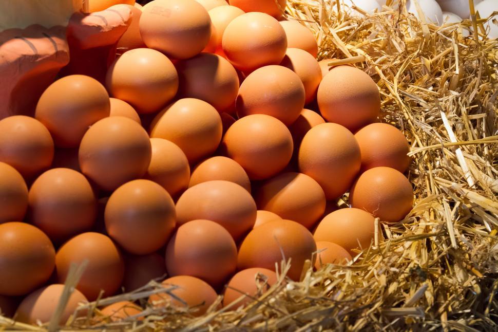 Free Image of Brown Eggs  