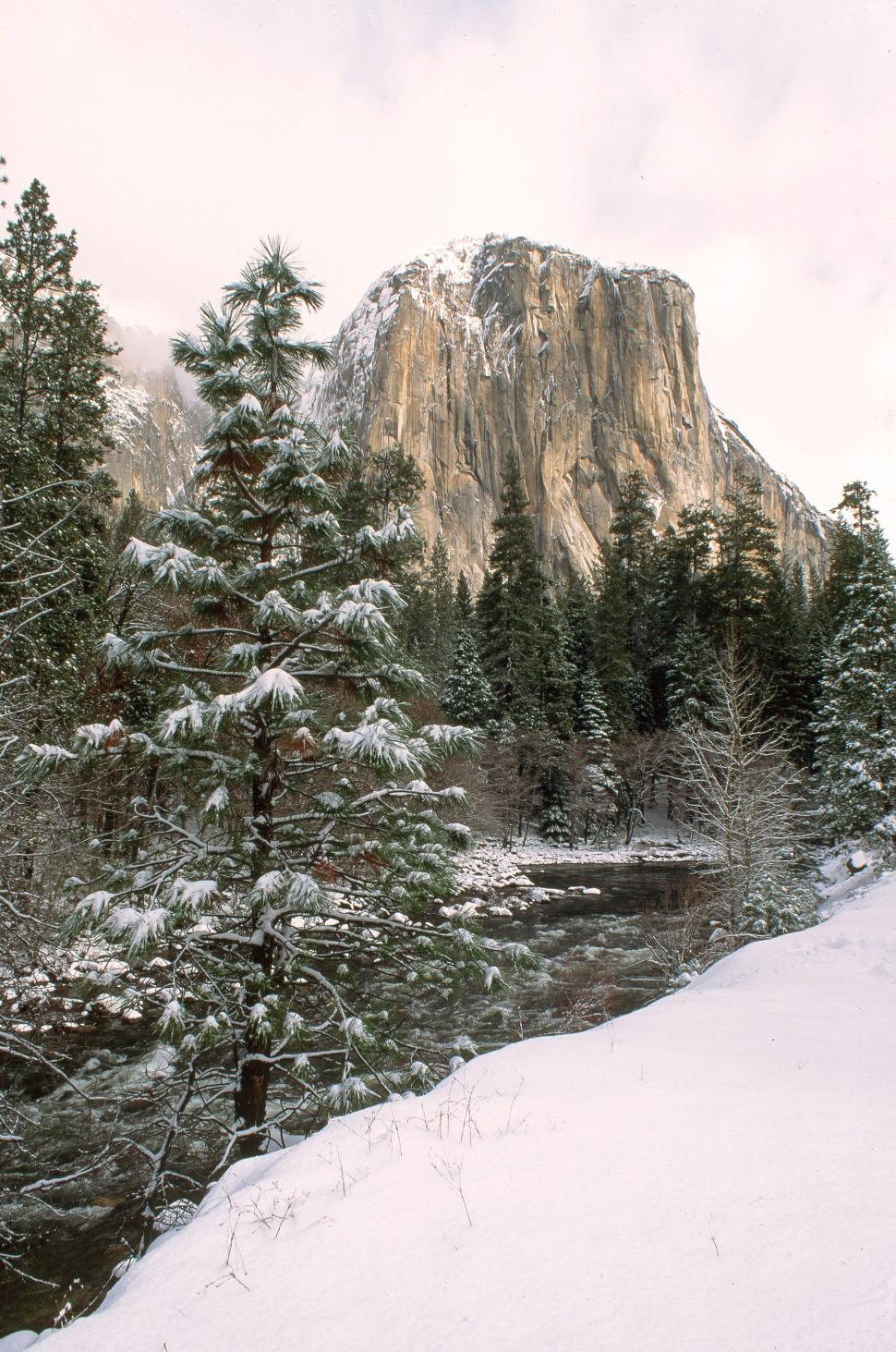 Free Image of El Capitan in California 