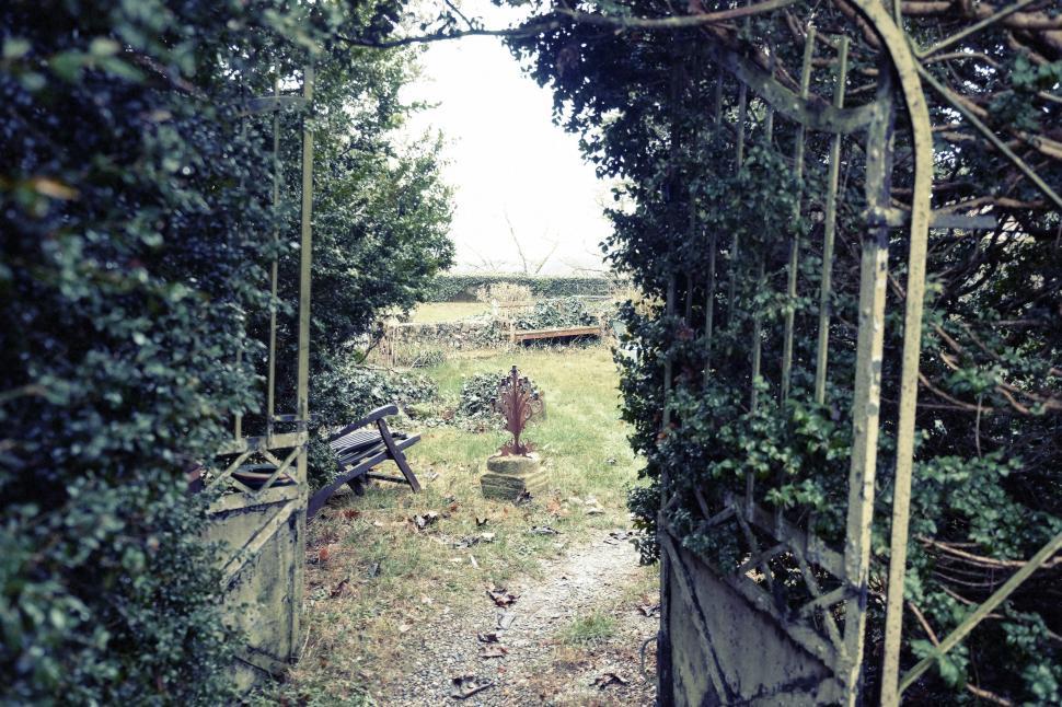 Free Image of Horse Grazing in Gated Area 