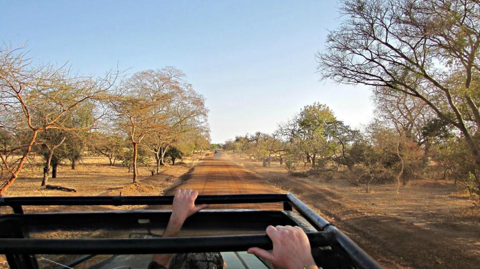 Free Image of Man Driving Truck Down Dirt Road 