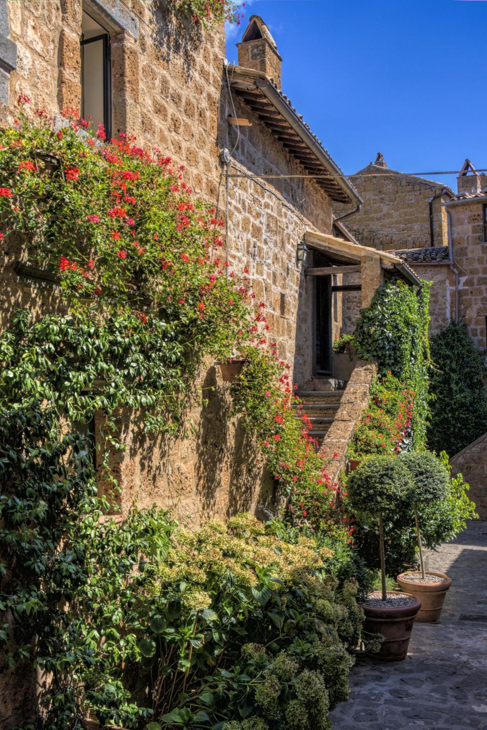 Free Image of Houses in an Alleyway 