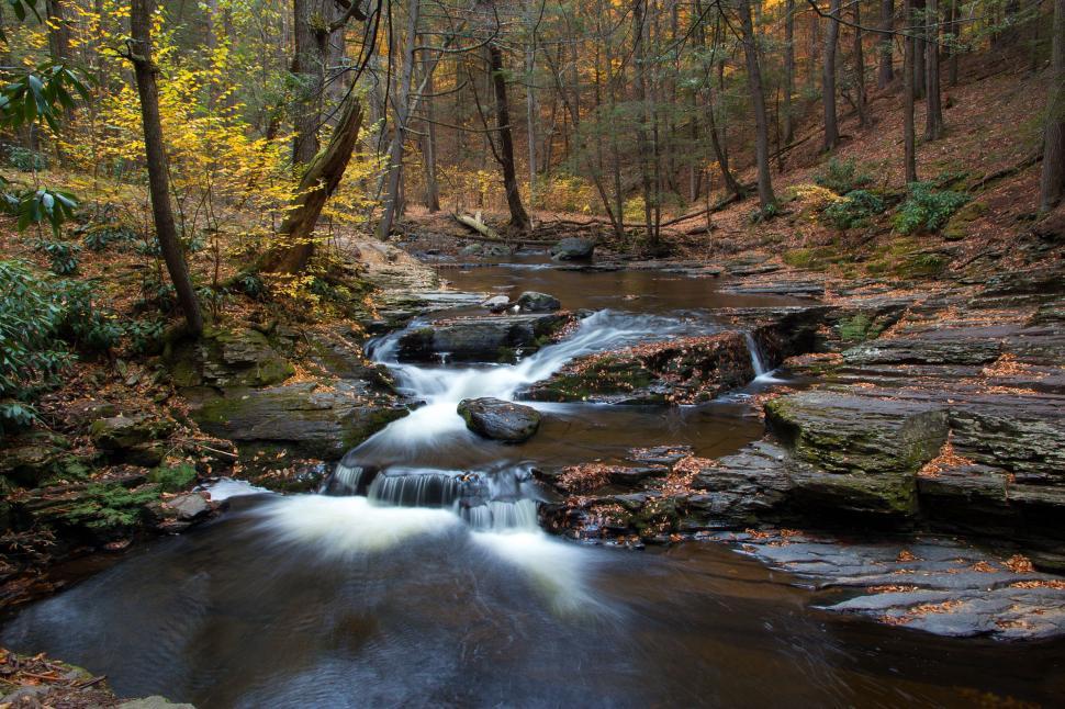 Free Image of Dingmans Creek Up Stream of Dingmans Falls 
