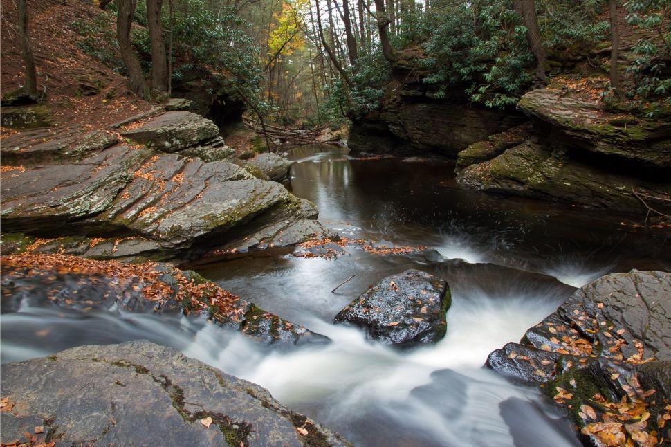 Free Image of Dingmans Creek Up Stream of Dingmans Falls 