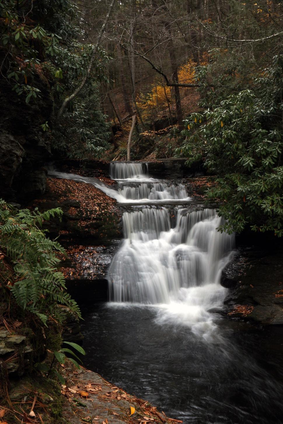 Free Image of Dingmans Creek Up Stream of Dingmans Falls 