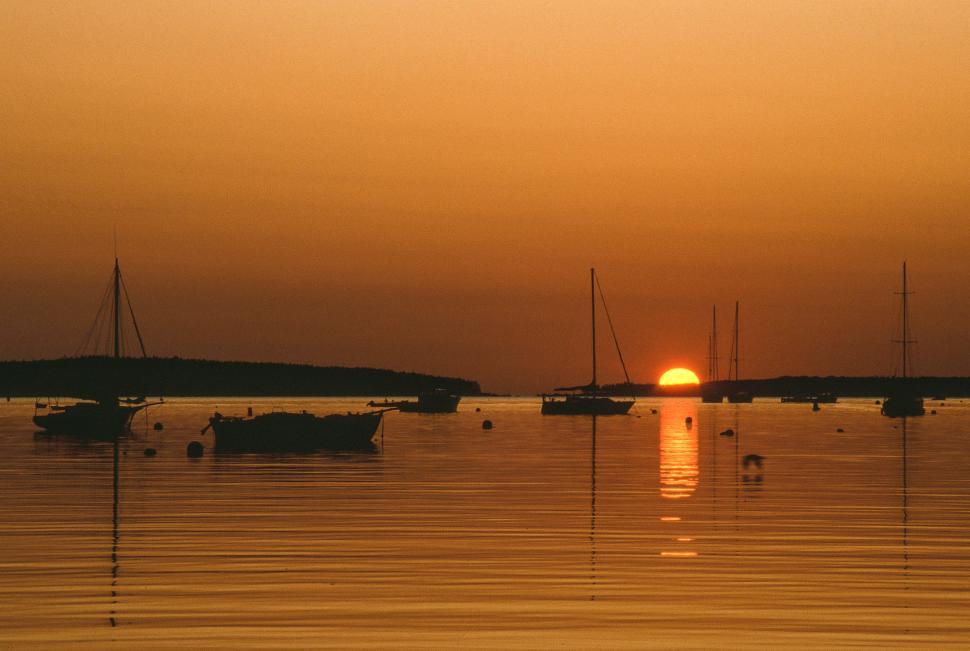 Free Image of Mount Desert Island 