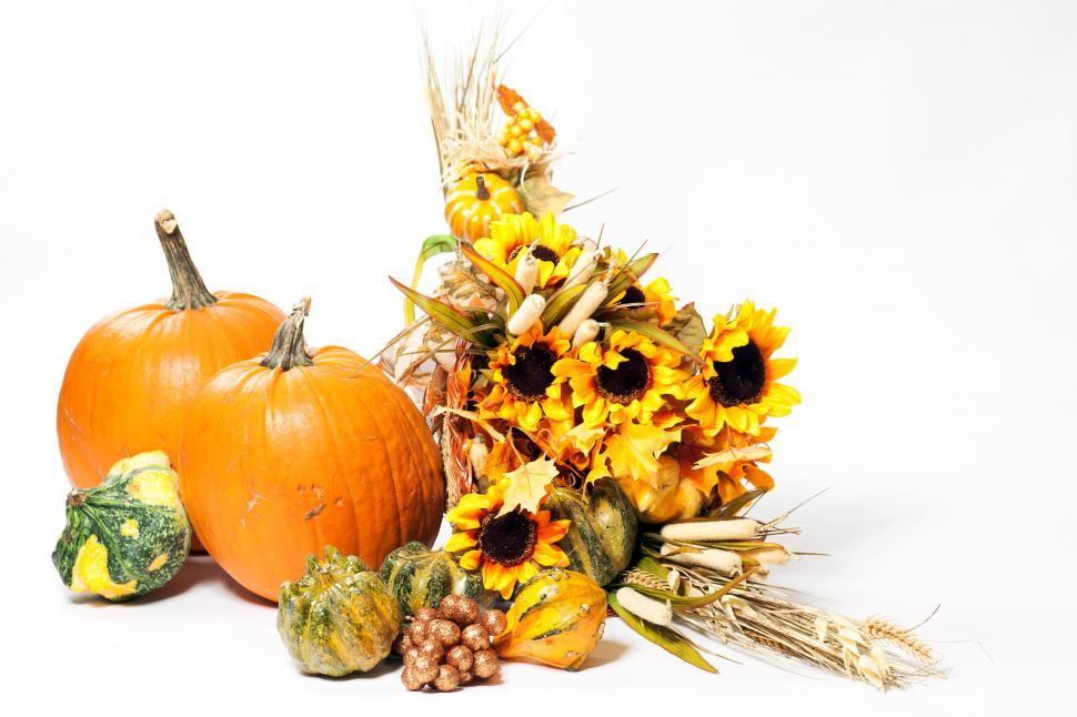 Free Image of Fall cornucopia on a White back ground 