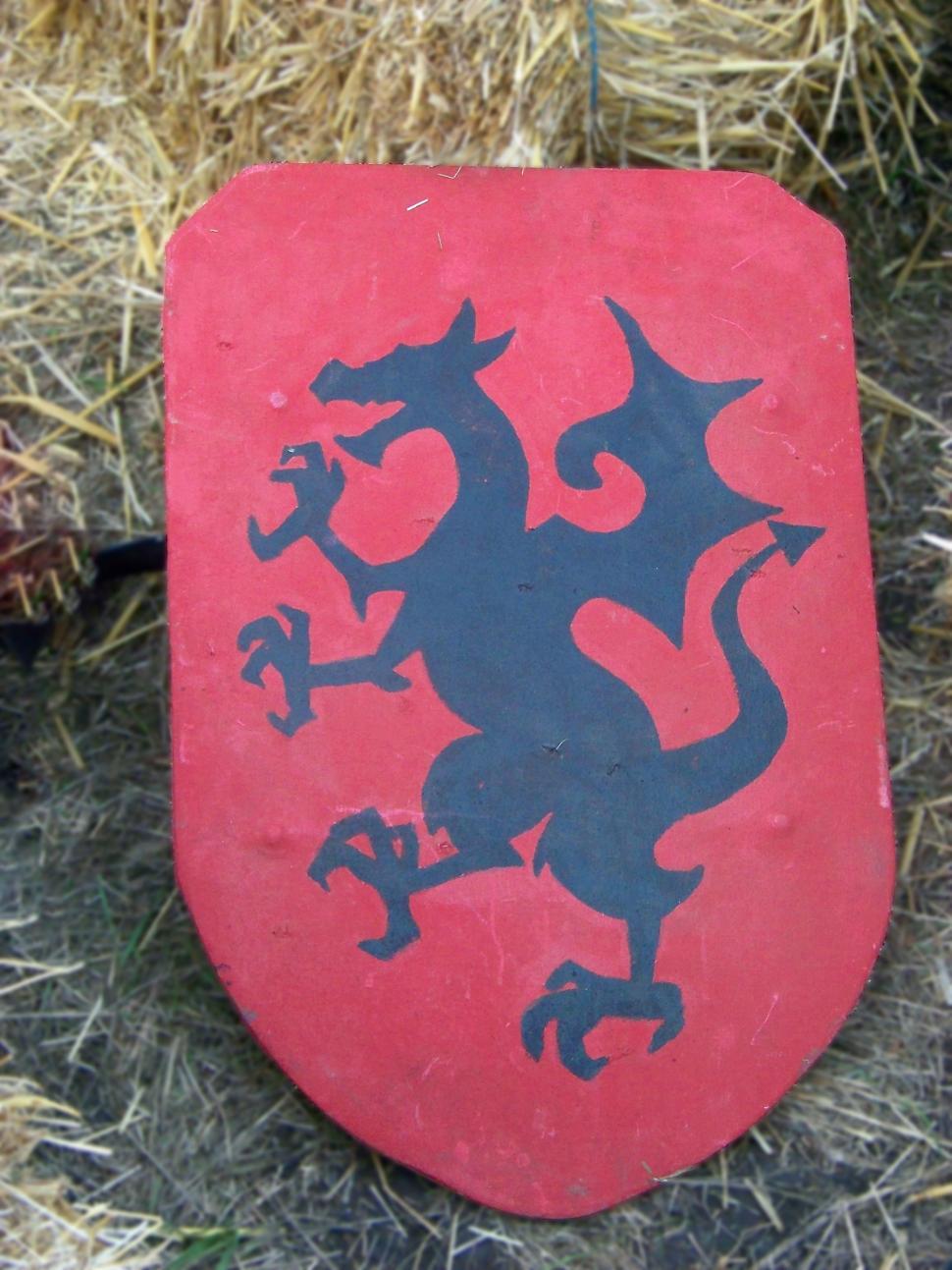 Free Image of Dragon shield  