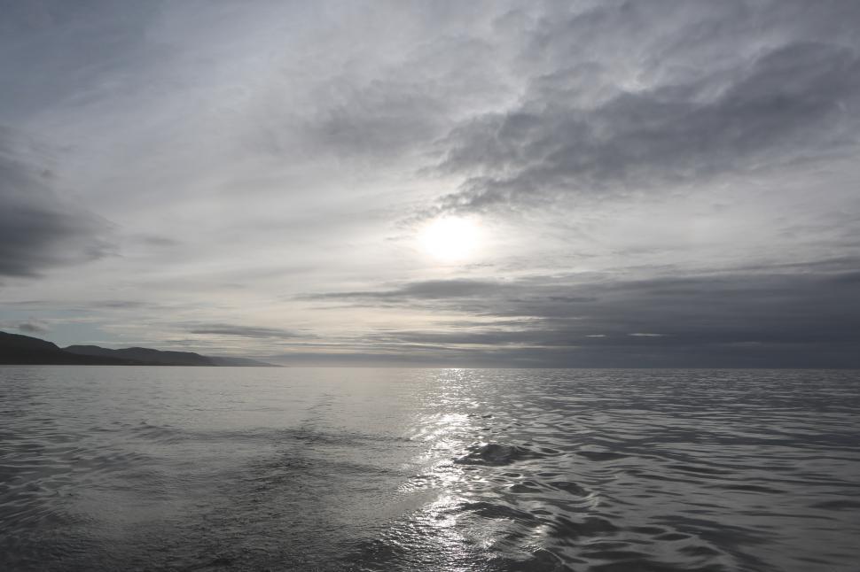 Free Image of Body of Water in Black and White 