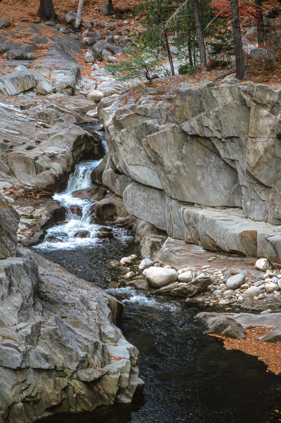 Free Image of Otter Cliff 