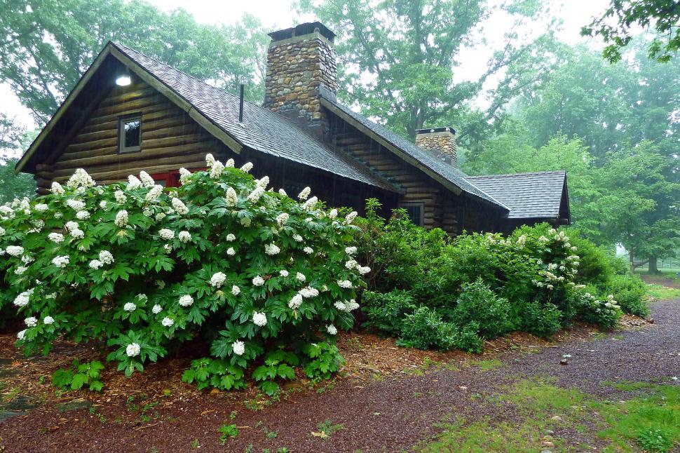 Free Image of Log Cabin At Rutgers Gardens  