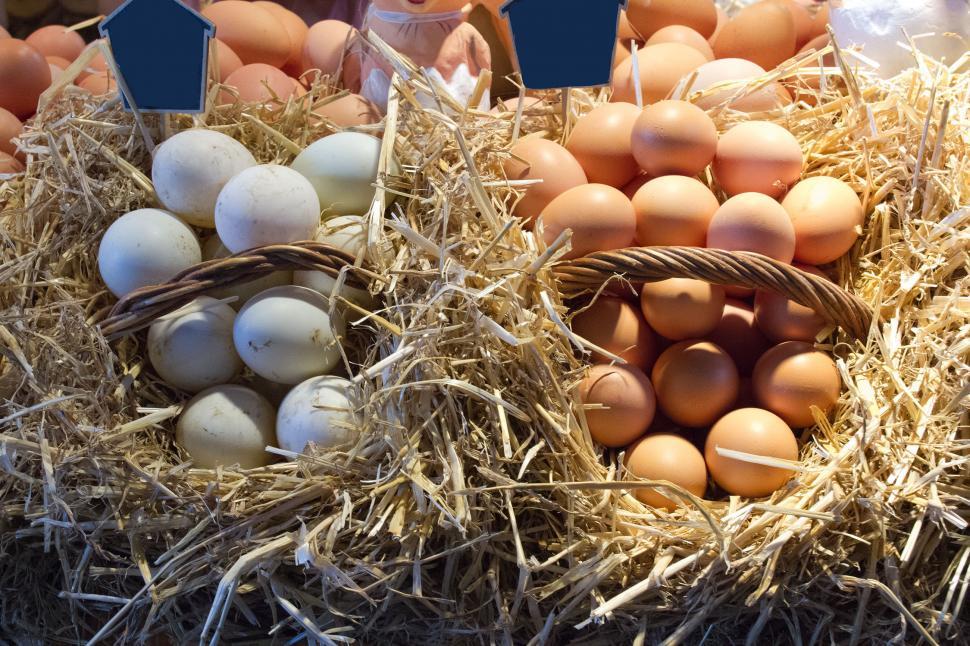 Free Image of Eggs at the Market 