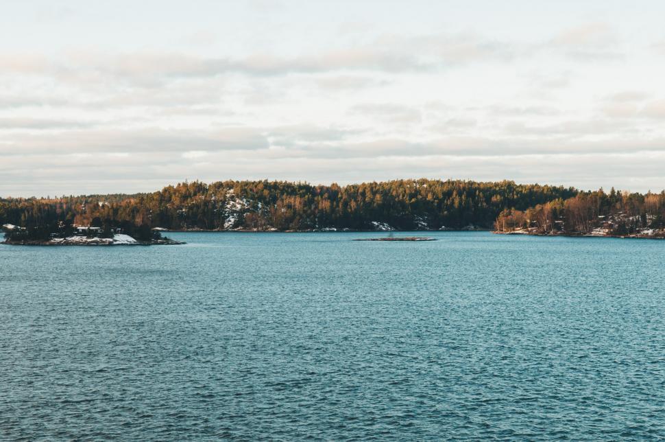 Free Image of Trees Surrounding Vast Body of Water 