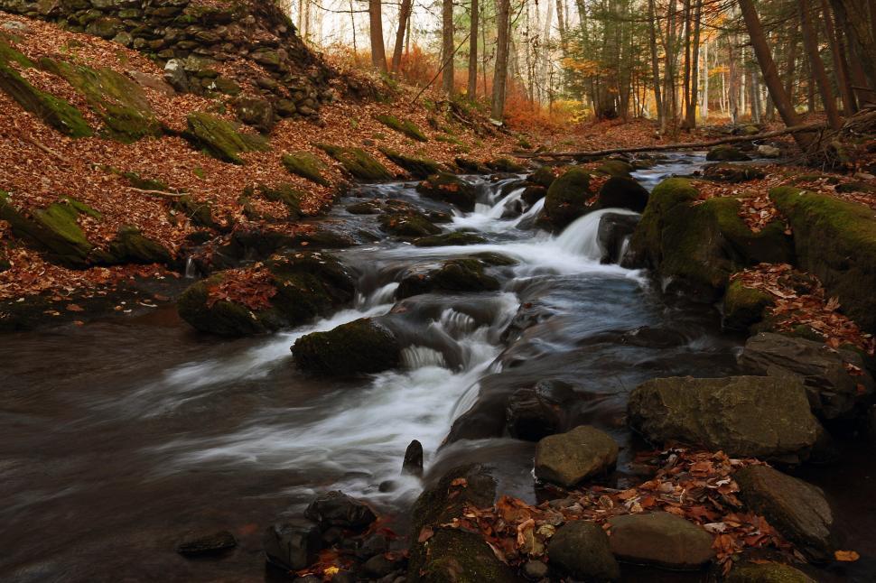 Free Image of Van Campens Brook Cascade in Fall 