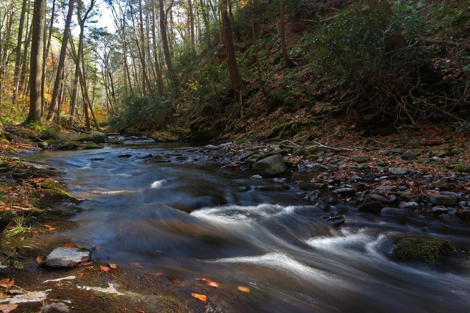 Free Image of Van Campens Brook Ripples 