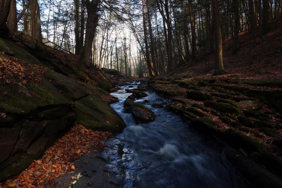 Free Image of Van Campens Brook  
