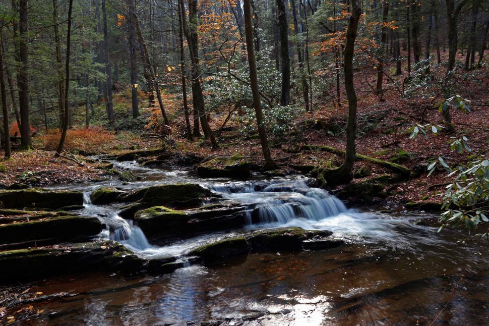 Free Image of Van Campens Brook Small Cascade 