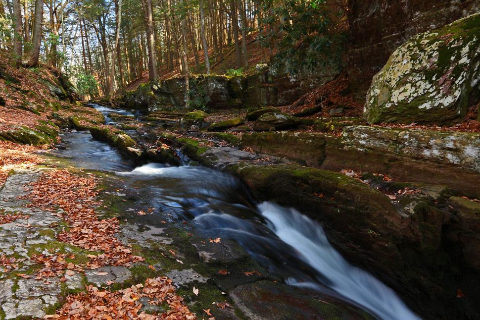 Free Image of Van Campens Brook  