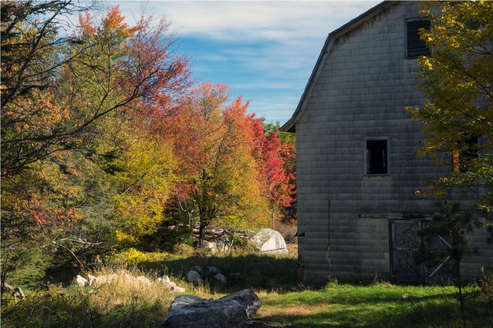 Free Image of Old Barn In The Woods 