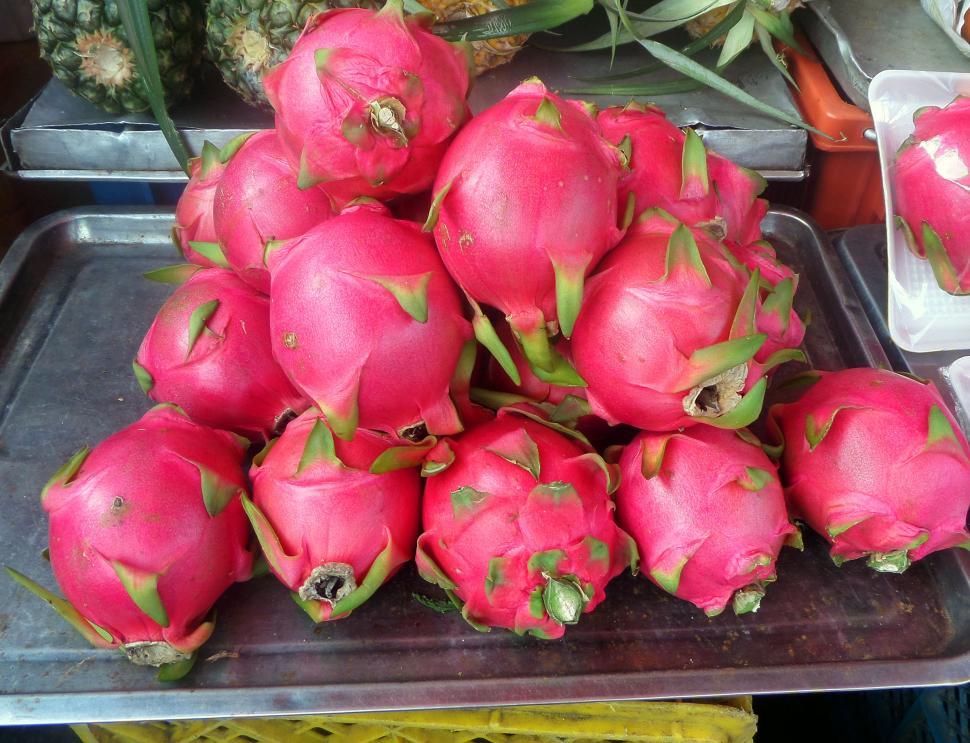 Free Image of Dragon Fruit 