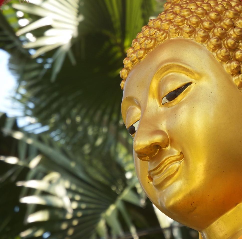 Free Image of Golden Buddha Face 3 