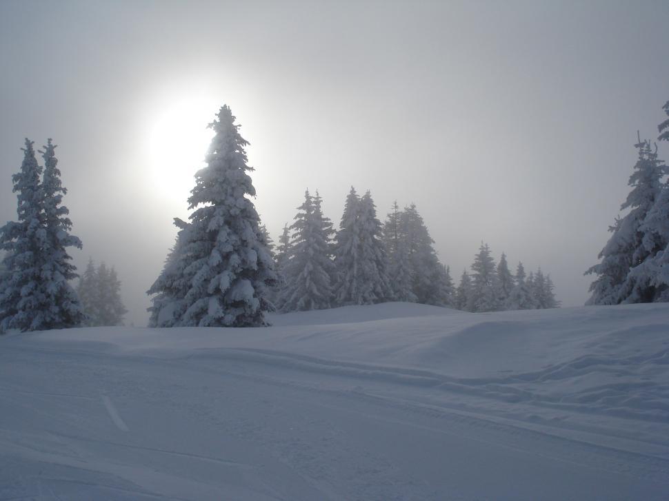 Free Image of Snow on the Alps  
