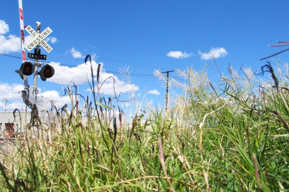 Free Image of Street Sign in a Field of Tall Grass 