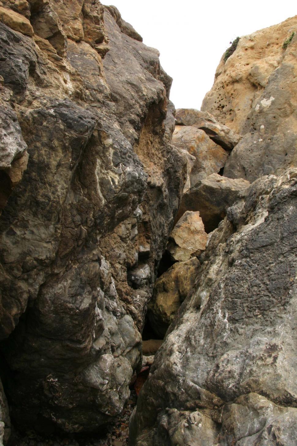 Free Image of Bird Perched on Rock Formation 