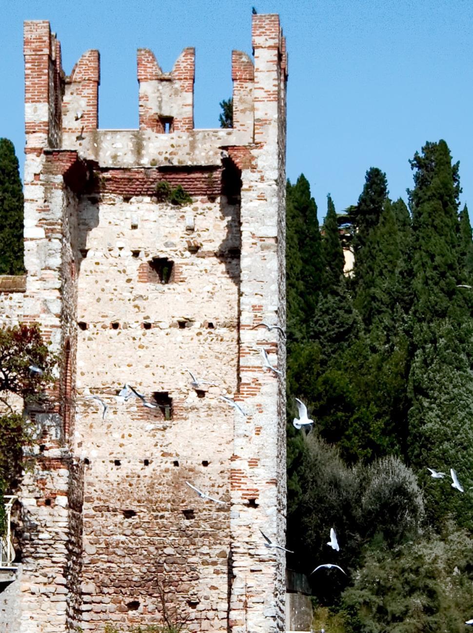 Free Image of The tower 