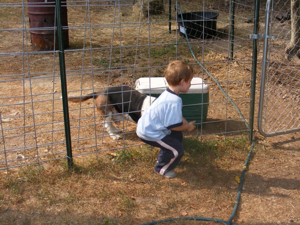 Free Image of Boy and Dog 