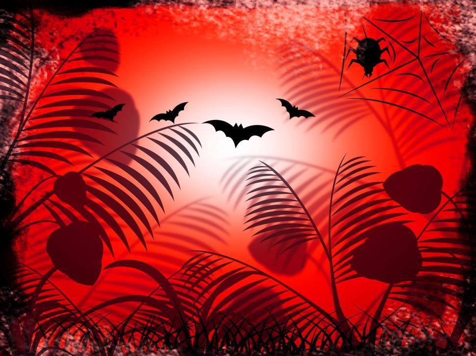 Free Image of Spider Nature Means Scenic Environmental And Natural 