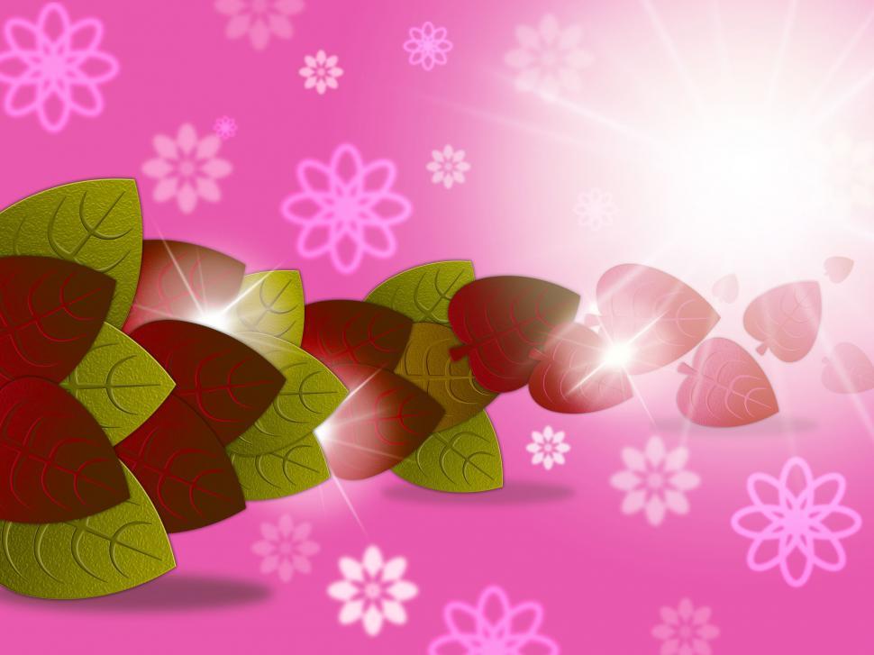 Free Image of Nature Floral Indicates Environment Flower And Blooming 
