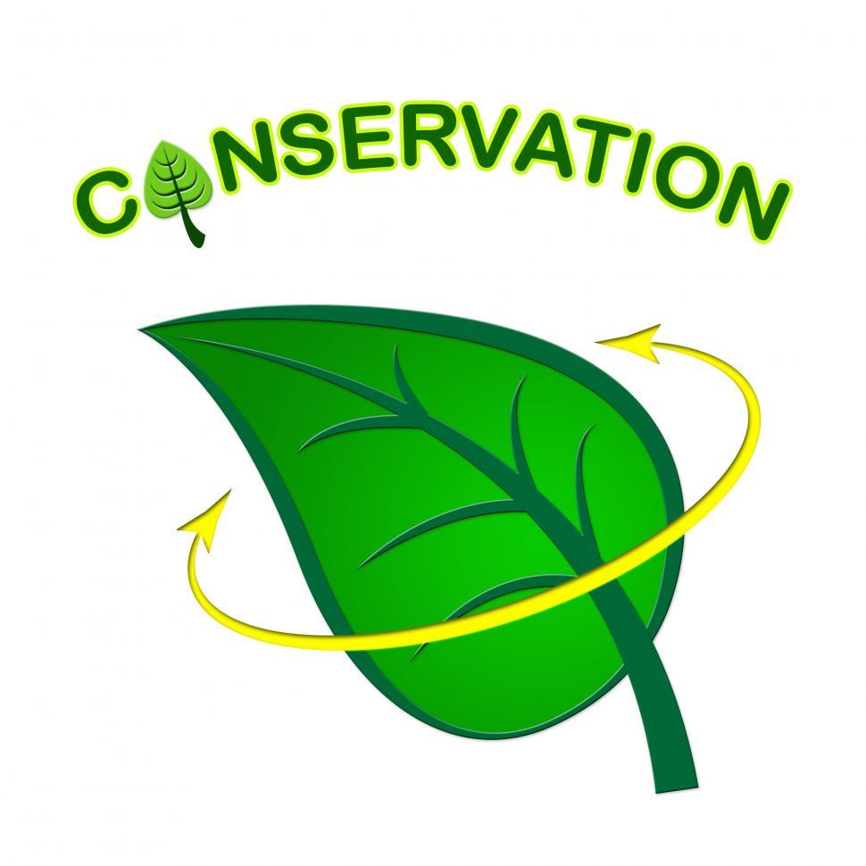 Free Image of Leaf Conservation Represents Go Green And Conserving 