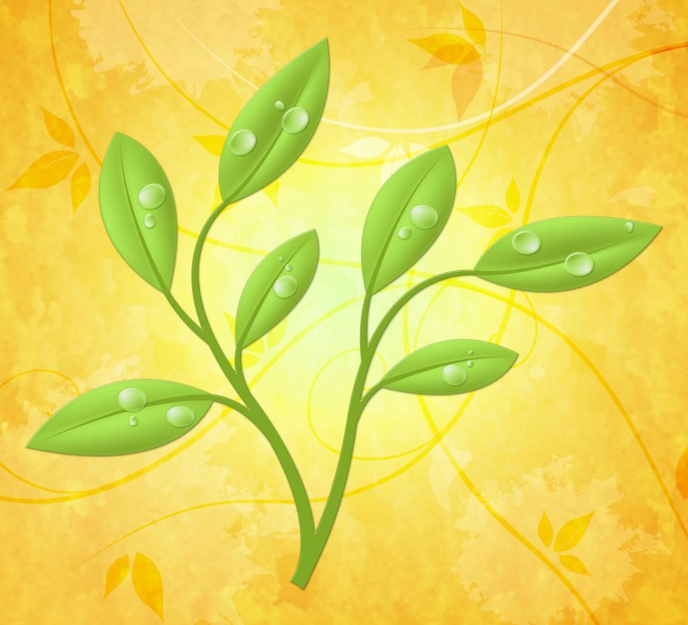 Free Image of Eco Friendly Represents Go Green And Countryside 