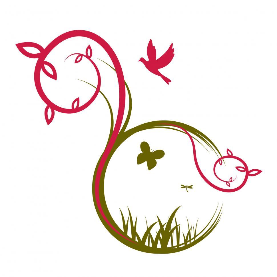 Free Image of Butterflies Birds Indicates Animals Wildlife And Environmental 