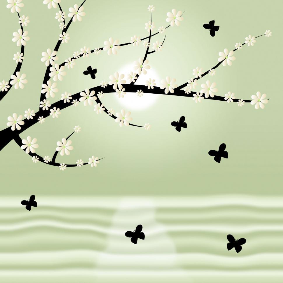 Free Image of Floral Spring Means Tree Trunk And Treetop 