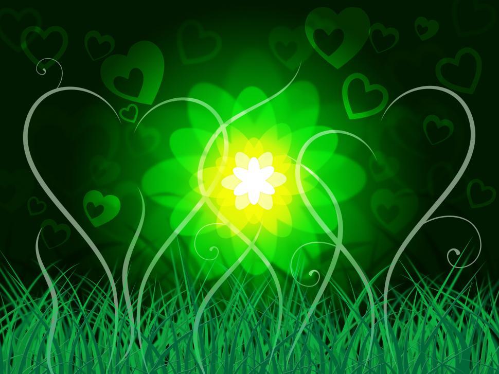 Free Image of Glow Floral Shows Light Burst And Scenic 