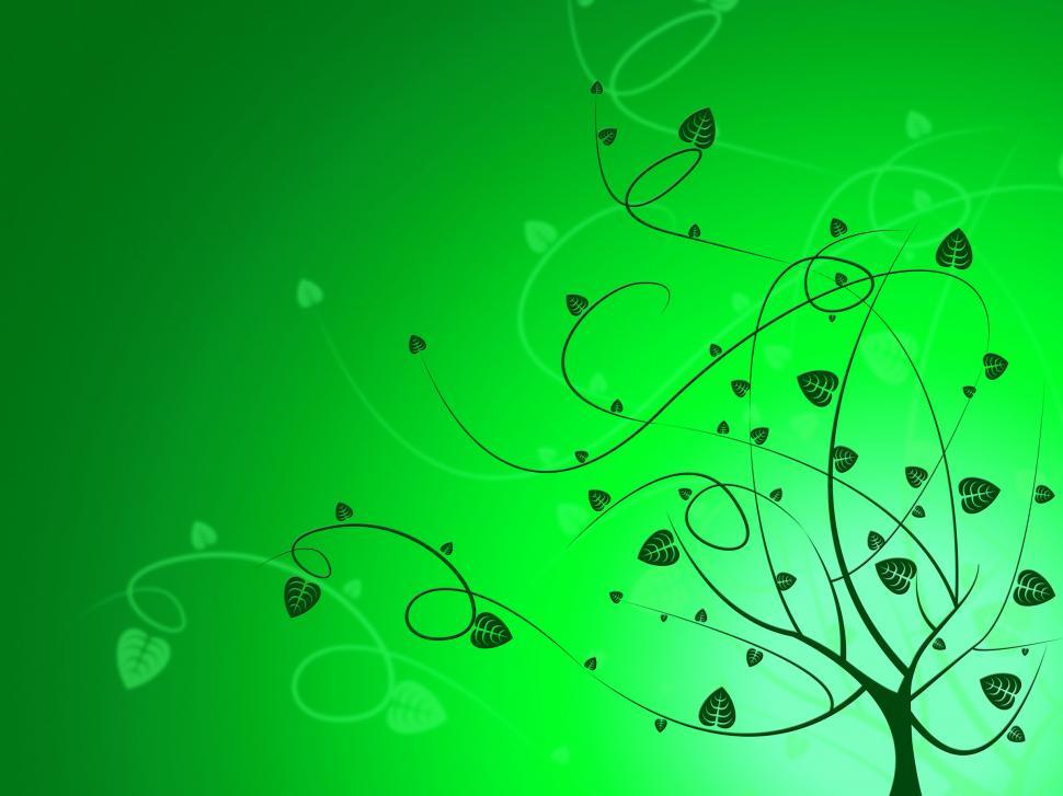 Free Image of Floral Nature Indicates Bouquet Background And Flower 
