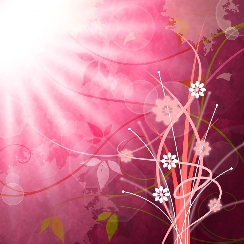 Free Image of Sun Rays Means Flower Flowers And Pink 