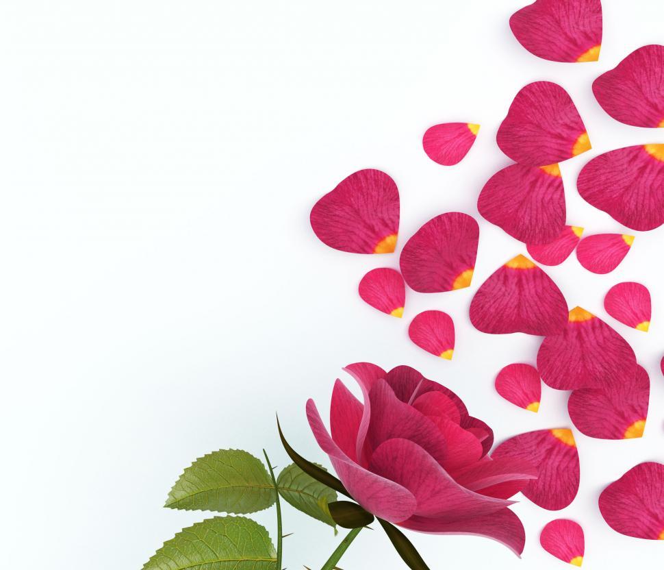 Free Image of Gift Card Indicates Text Space And Bloom 