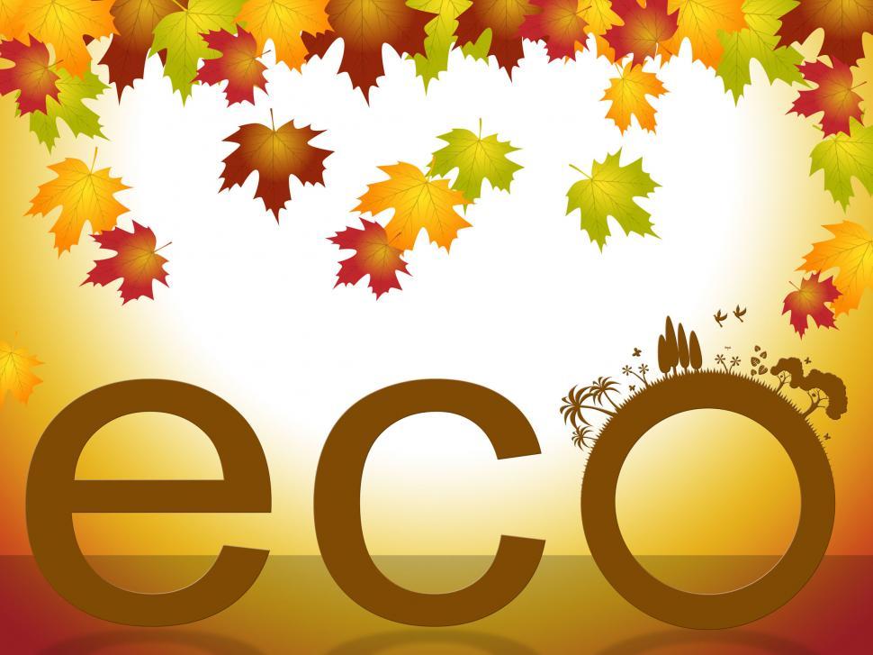 Free Image of Word Nature Represents Go Green And Conservation 