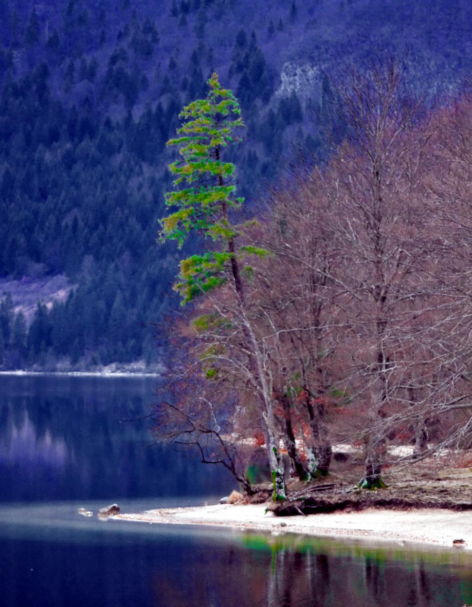 Free Image of Lakeshore 
