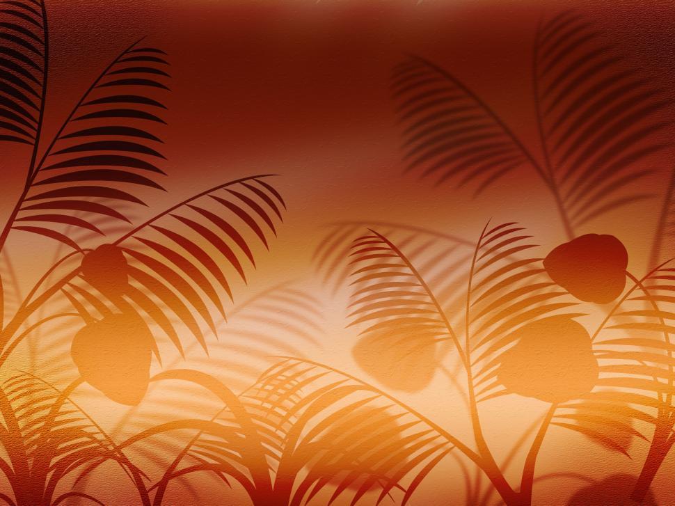 Free Image of Background Copyspace Indicates Florals Abstract And Flora 