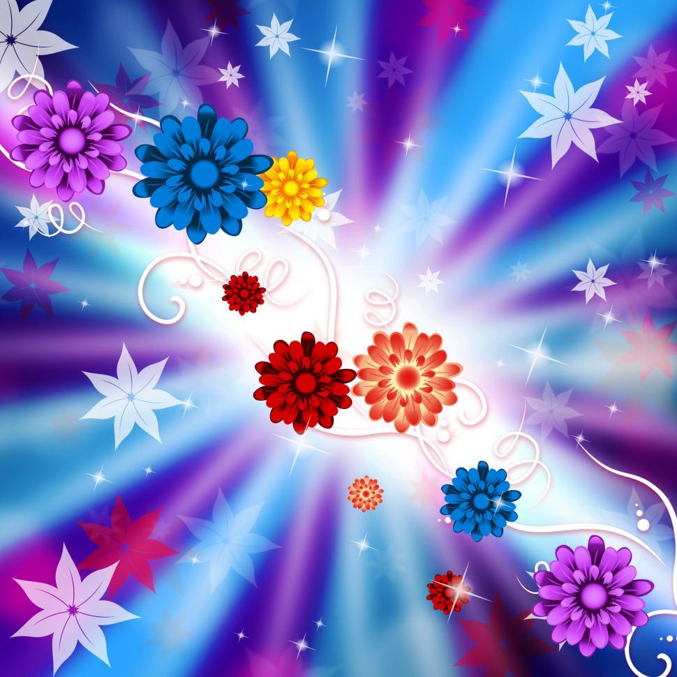 Free Image of Flowers Sunrays Means Sunbeam Petal And Blooming 
