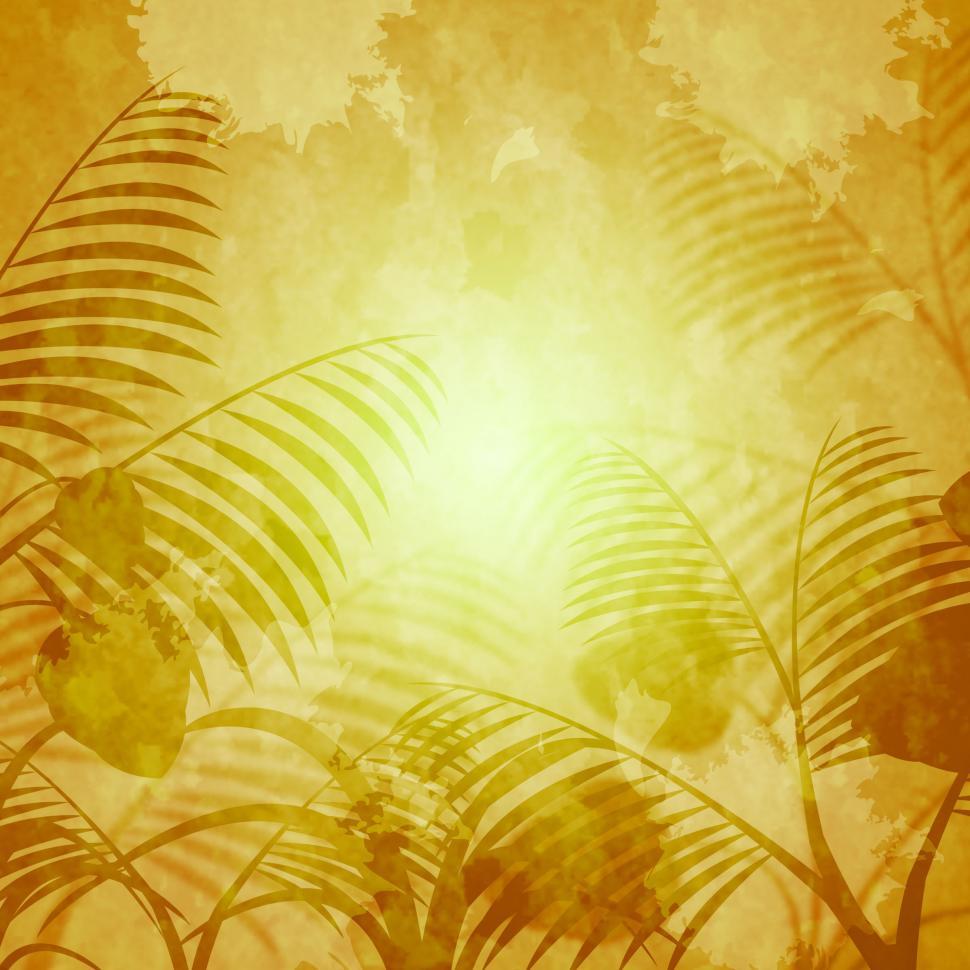 Free Image of Copyspace Background Means Backgrounds Florist And Backdrop 