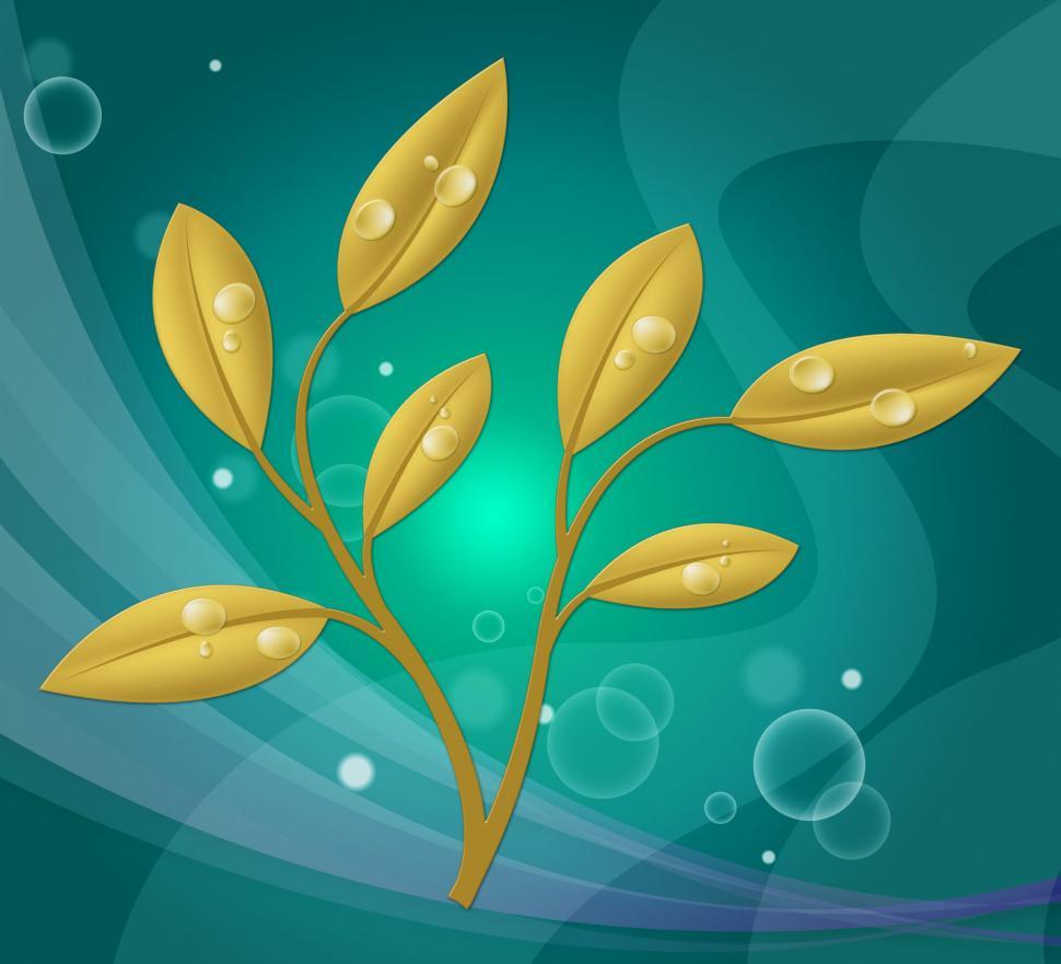 Free Image of Eco Friendly Shows Earth Day And Botanic 
