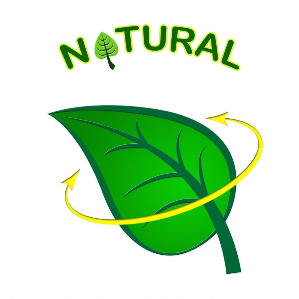 Free Image of Eco Friendly Shows Earth Day And Conservation 
