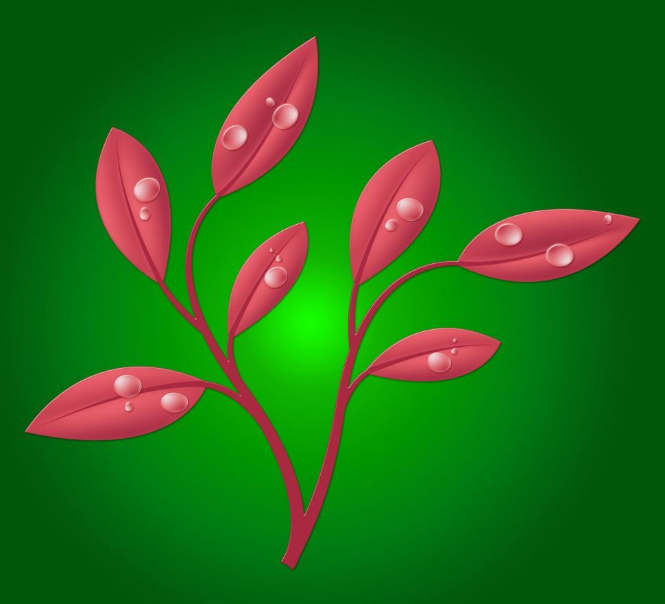 Free Image of Eco Friendly Represents Earth Day And Countryside 